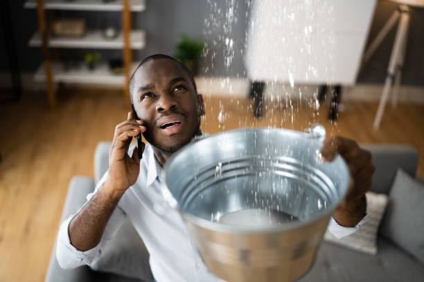 Best Professional water damage repair  in Lima, PA