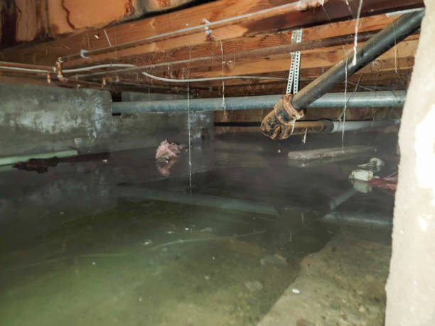 Best Emergency water damage restoration  in Lima, PA