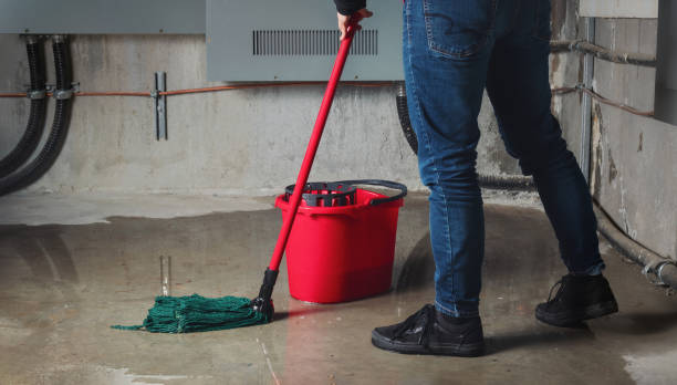Best Water damage contractors near me  in Lima, PA