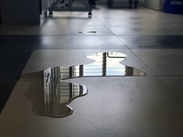 Best 24-hour water damage restoration  in Lima, PA