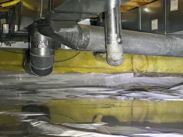 Best Water damage restoration near me  in Lima, PA