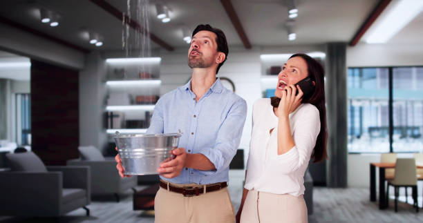 Best Sewage cleanup and water damage restoration  in Lima, PA